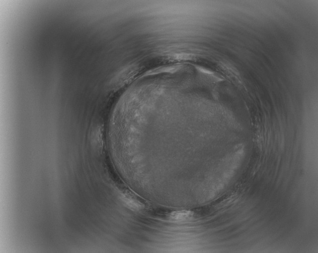 X0000063510410200602032048