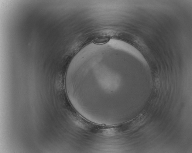 X0000063510411200602032048