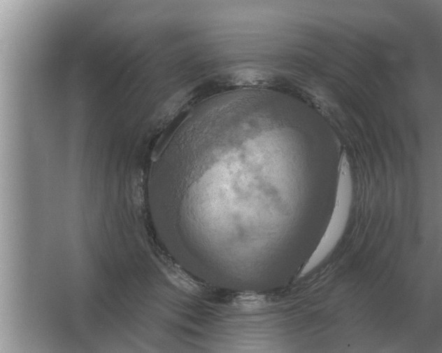 X0000063510413200602032048