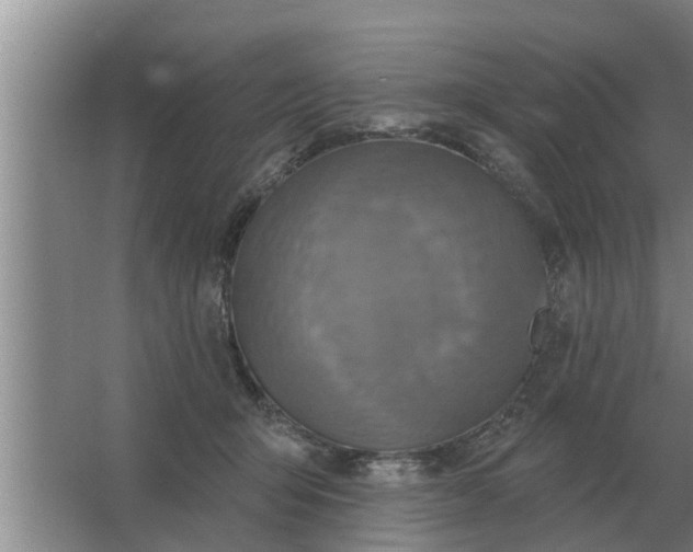 X0000063510415200602032048