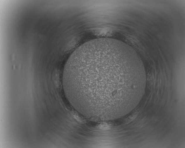 X0000063510416200602032048