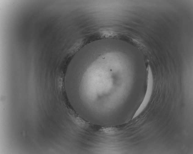 X0000063510417200602032048