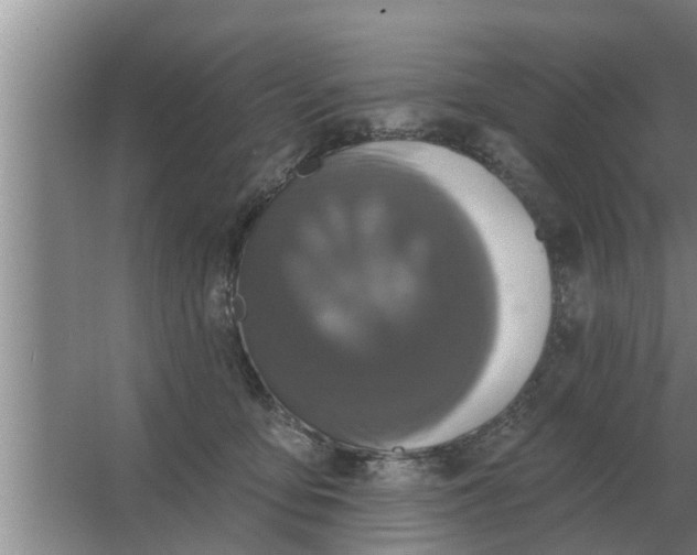 X0000063510419200602032048