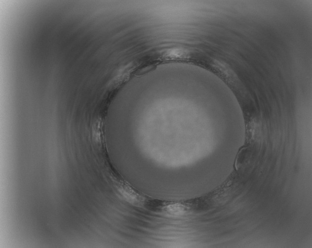 X0000063510423200602032048