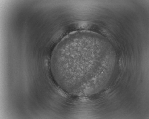 X0000063510424200602032048