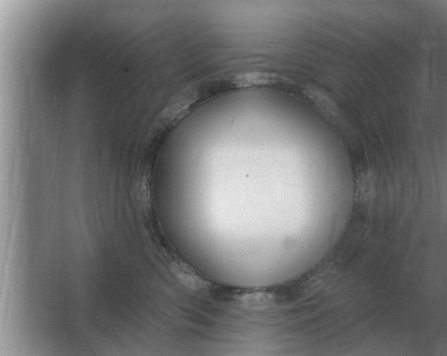 X0000063510426200602032048