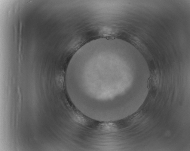 X0000063510427200602032048