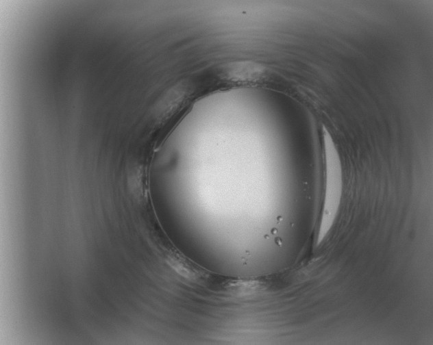 X0000063510428200602032048