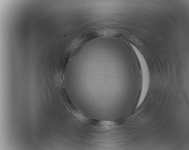 X0000063510429200602032048