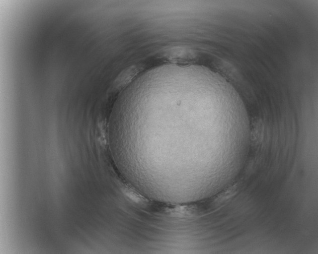 X0000063510430200602032048