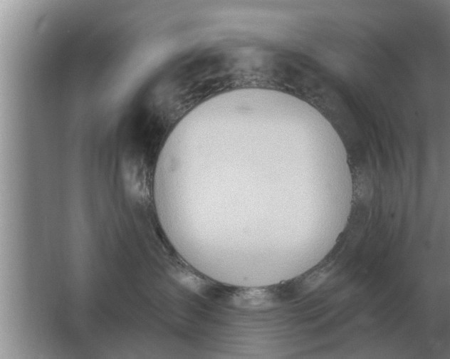 X0000063510431200602032048