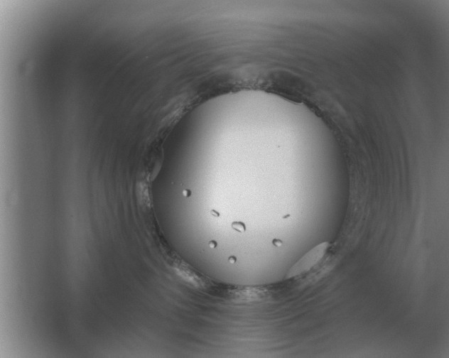 X0000063510432200602032048