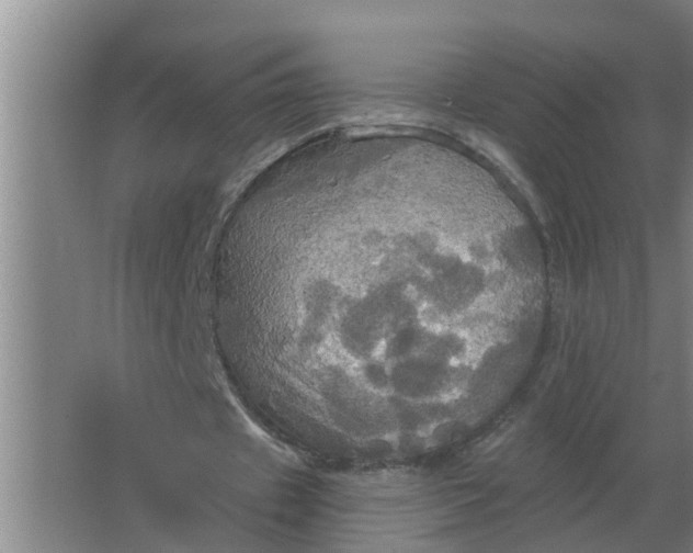 X0000063510433200602032047