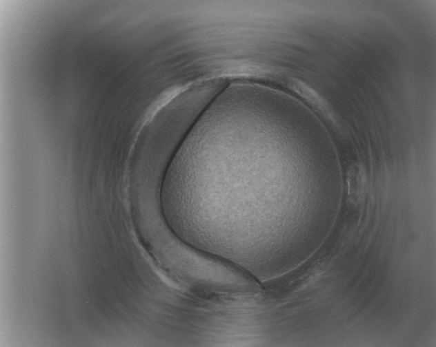 X0000063510436200602032047