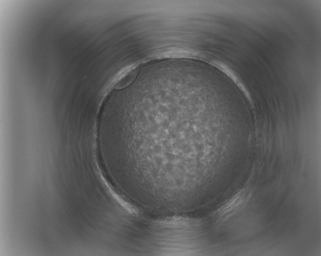 X0000063510437200602032047