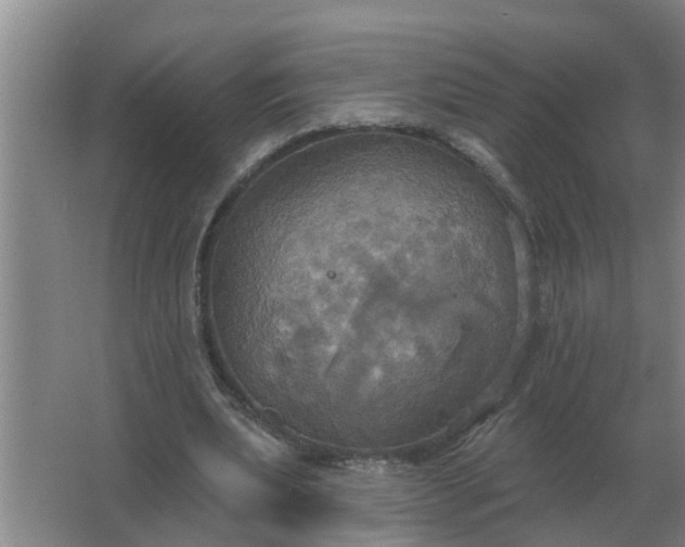 X0000063510439200602032047