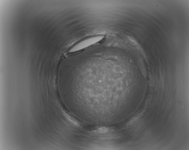 X0000063510441200602032047