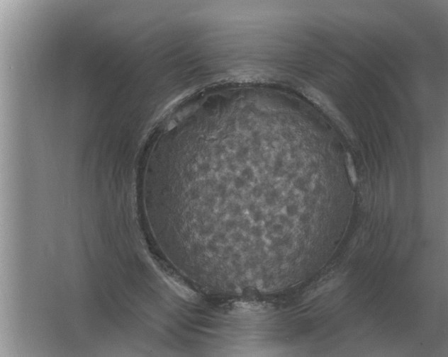 X0000063510442200602032047