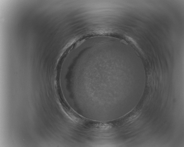 X0000063510443200602032047