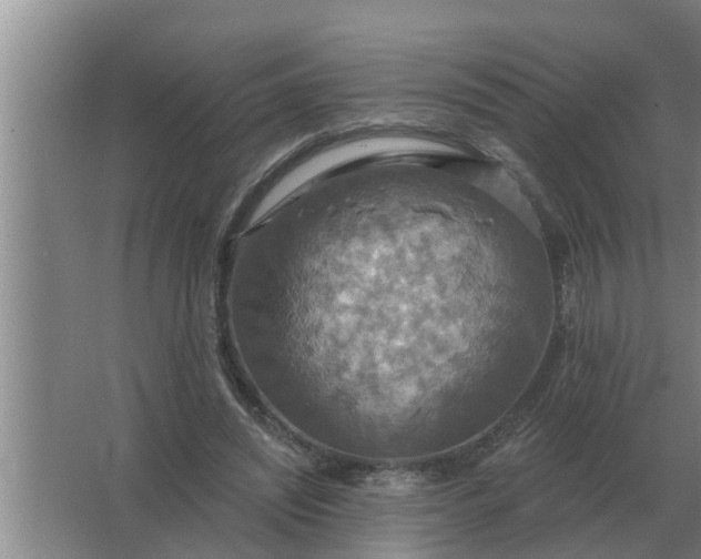 X0000063510444200602032047