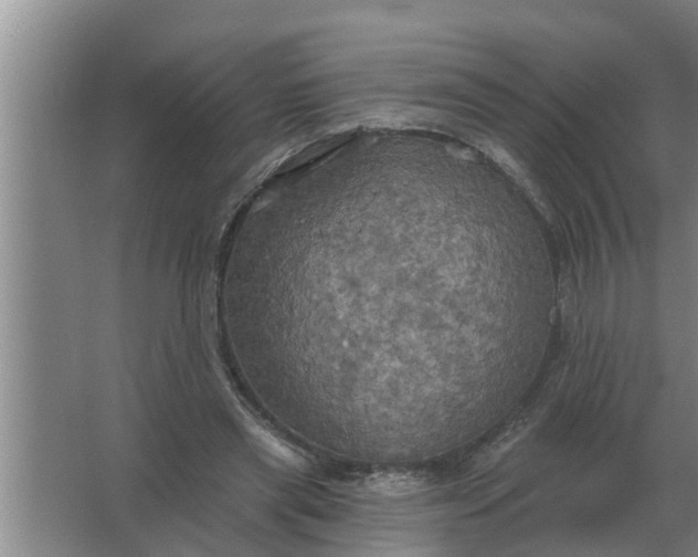 X0000063510445200602032047