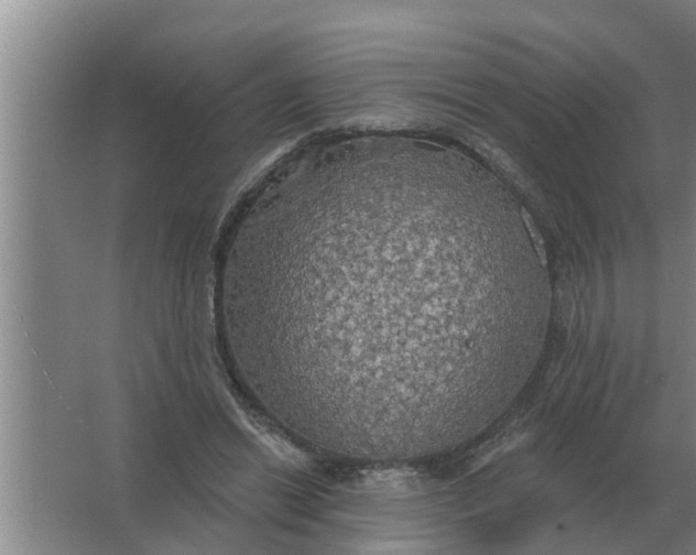 X0000063510446200602032047