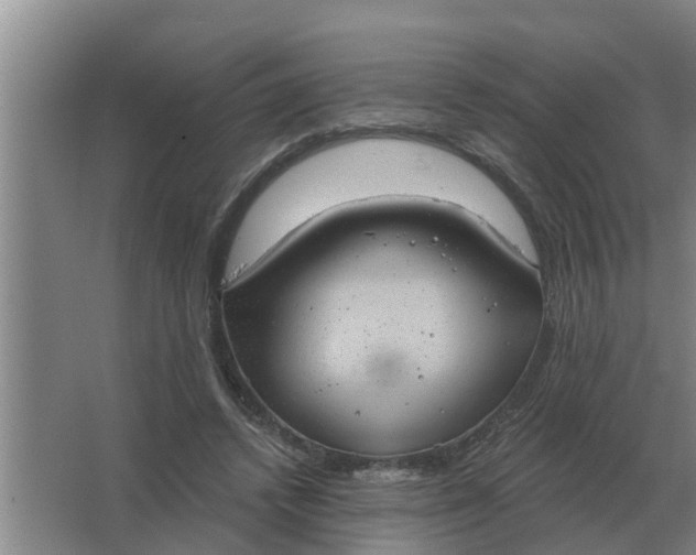 X0000063510448200602032047