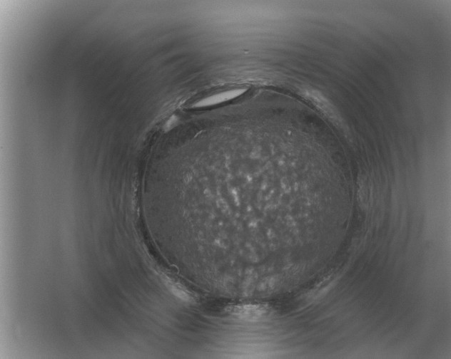 X0000063510449200602032047