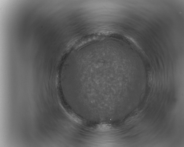 X0000063510451200602032048