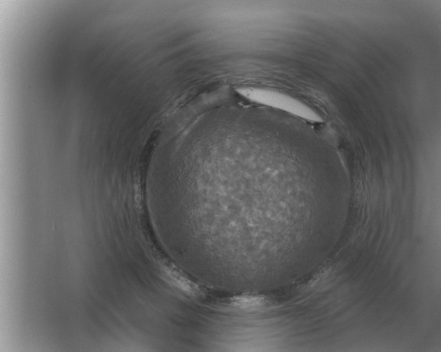 X0000063510457200602032048