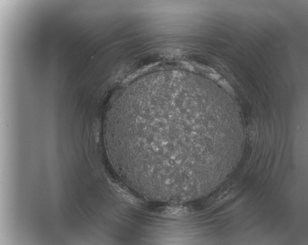 X0000063510458200602032048