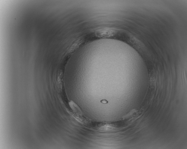 X0000063510460200602032048