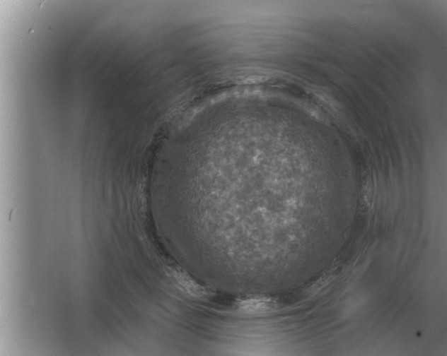 X0000063510461200602032048