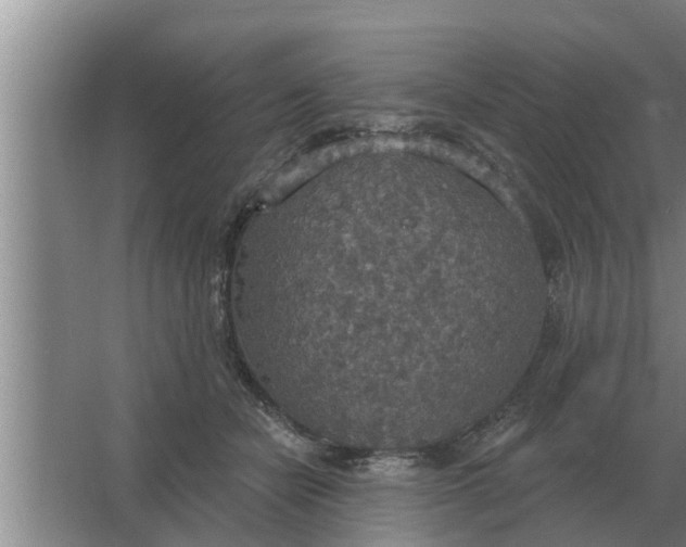 X0000063510462200602032048