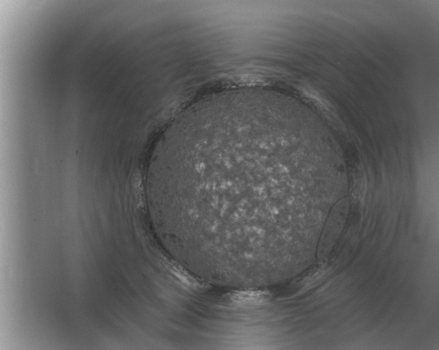 X0000063510465200602032048