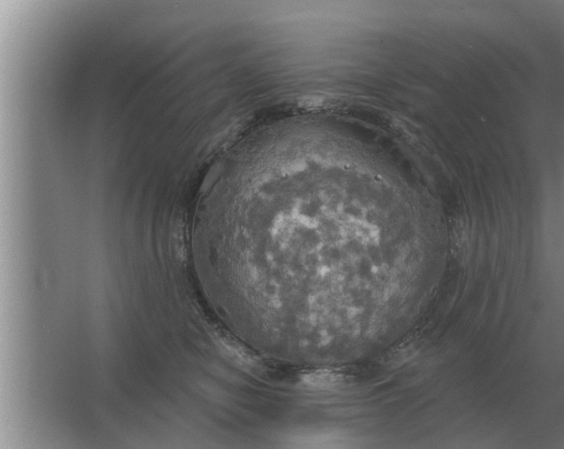 X0000063510470200602032048