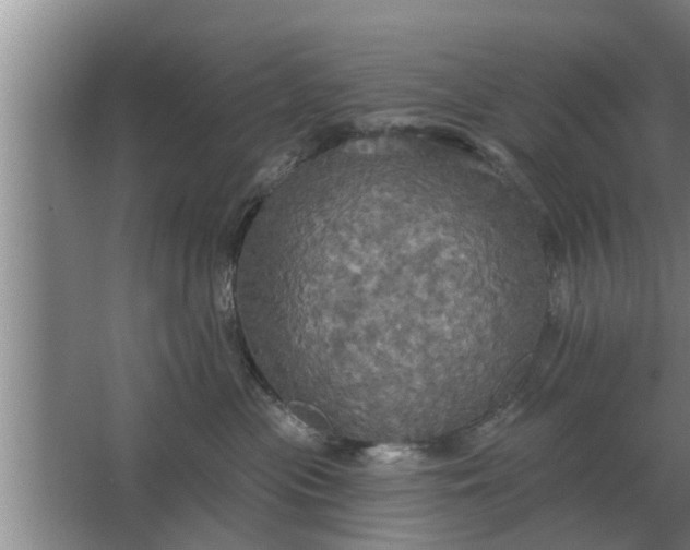 X0000063510477200602032048