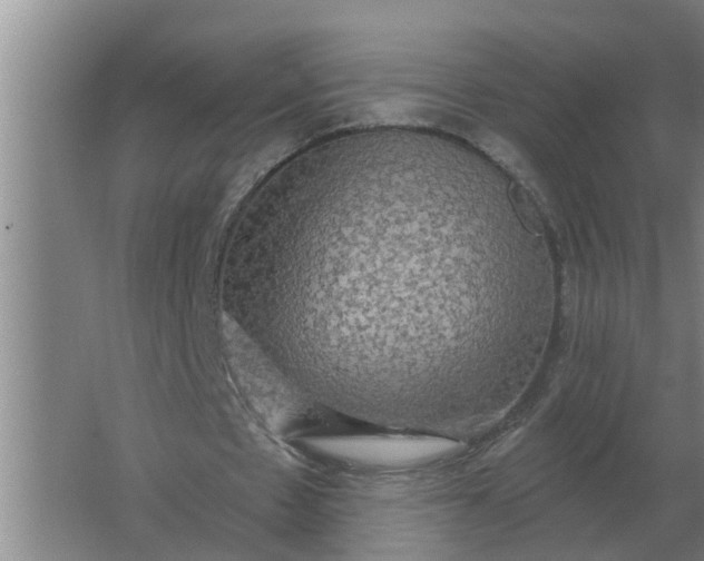 X0000063510481200602032047