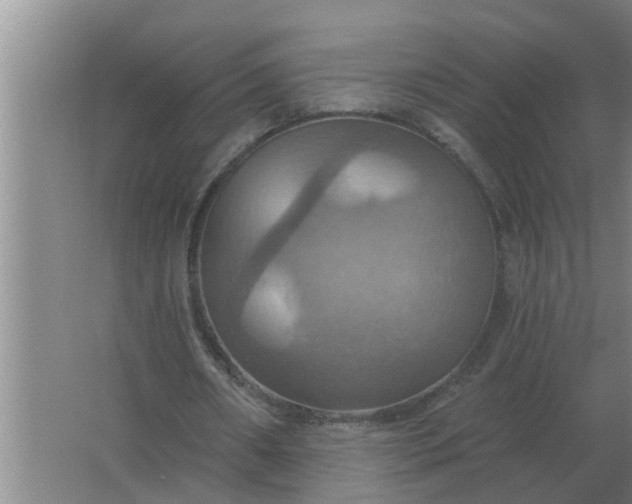 X0000063510482200602032047