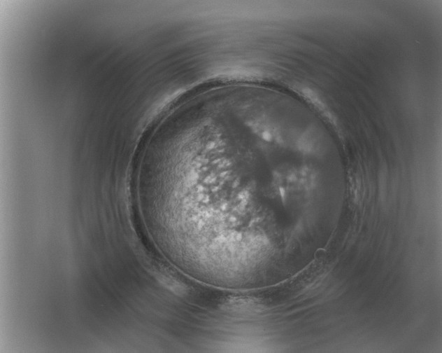 X0000063510487200602032047