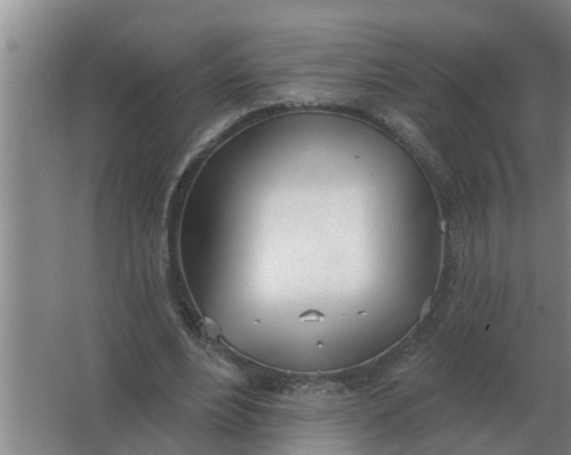 X0000063510488200602032047