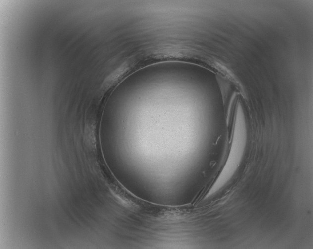 X0000063510489200602032047