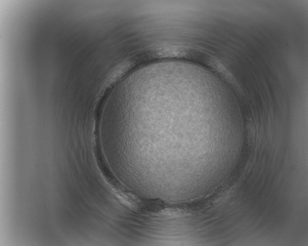 X0000063510490200602032047