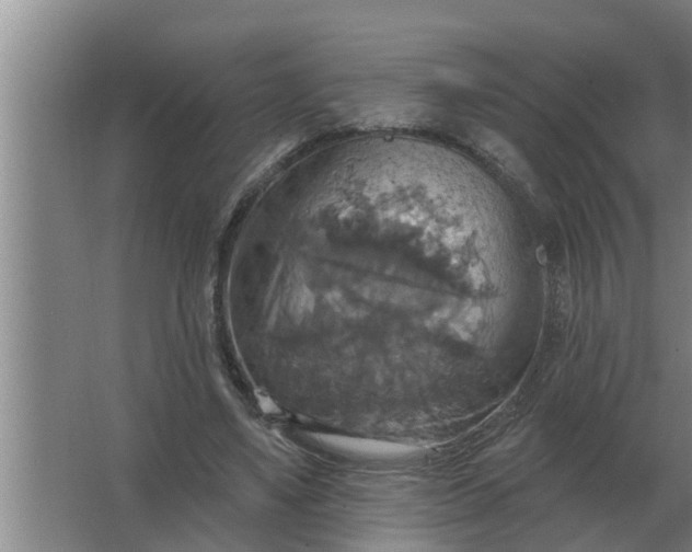 X0000063510491200602032047