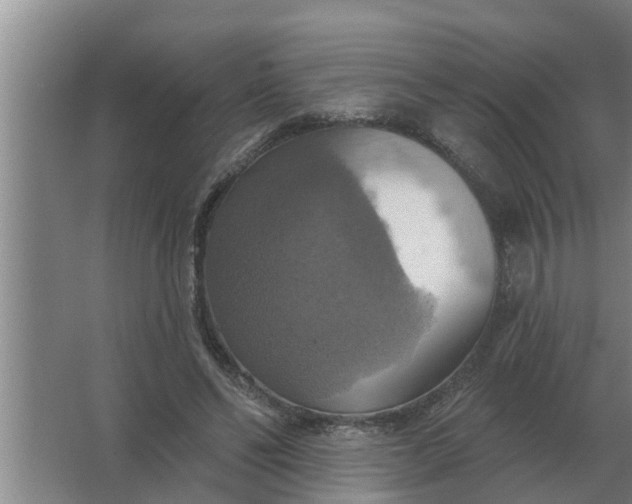 X0000063510494200602032047