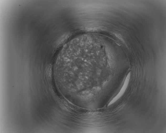 X0000063510495200602032047