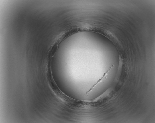 X0000063510496200602032047