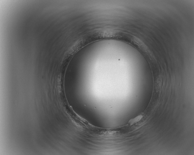 X0000063510497200602032047