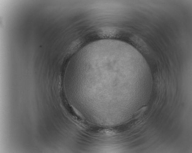 X0000063510498200602032047