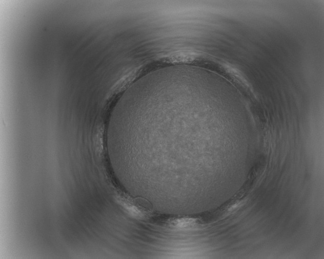 X0000063510501200602032047